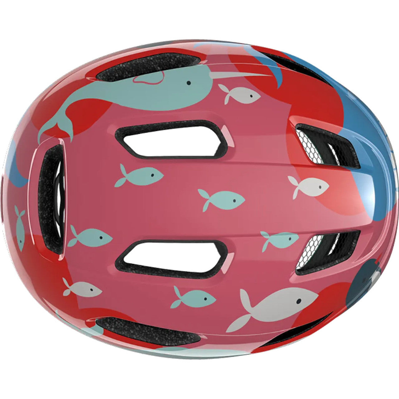 Lazer Helmet Lazer - Pnut KC Ocean Life Toddler Uni Size