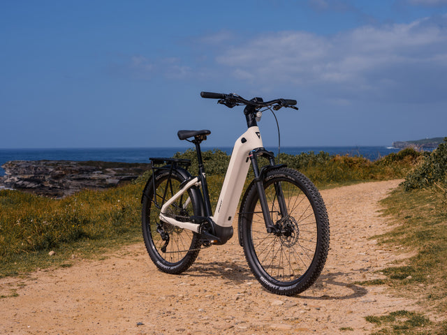 Giant ANYTOUR X E+ 3 2025