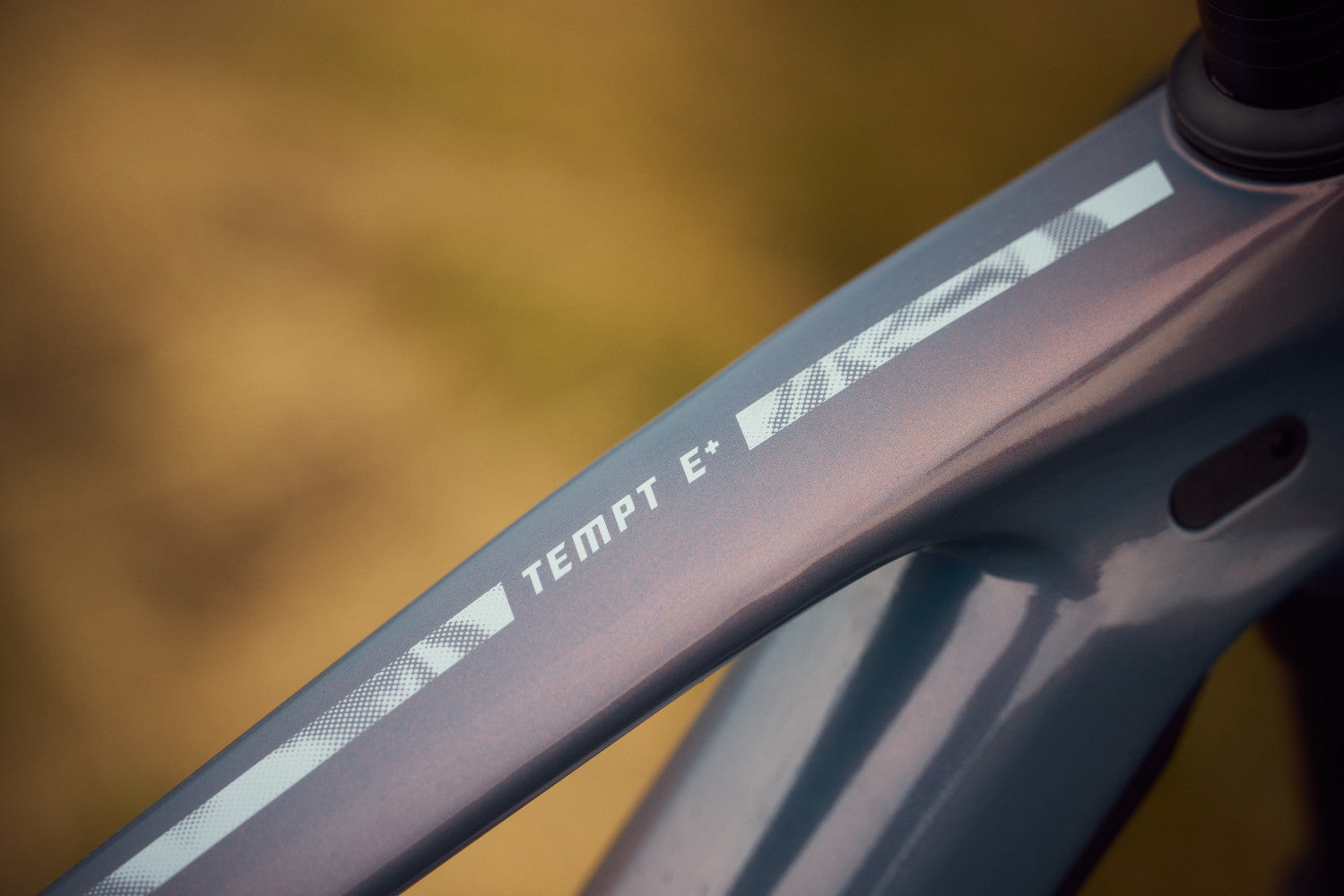 Liv Tempt E+ MY26