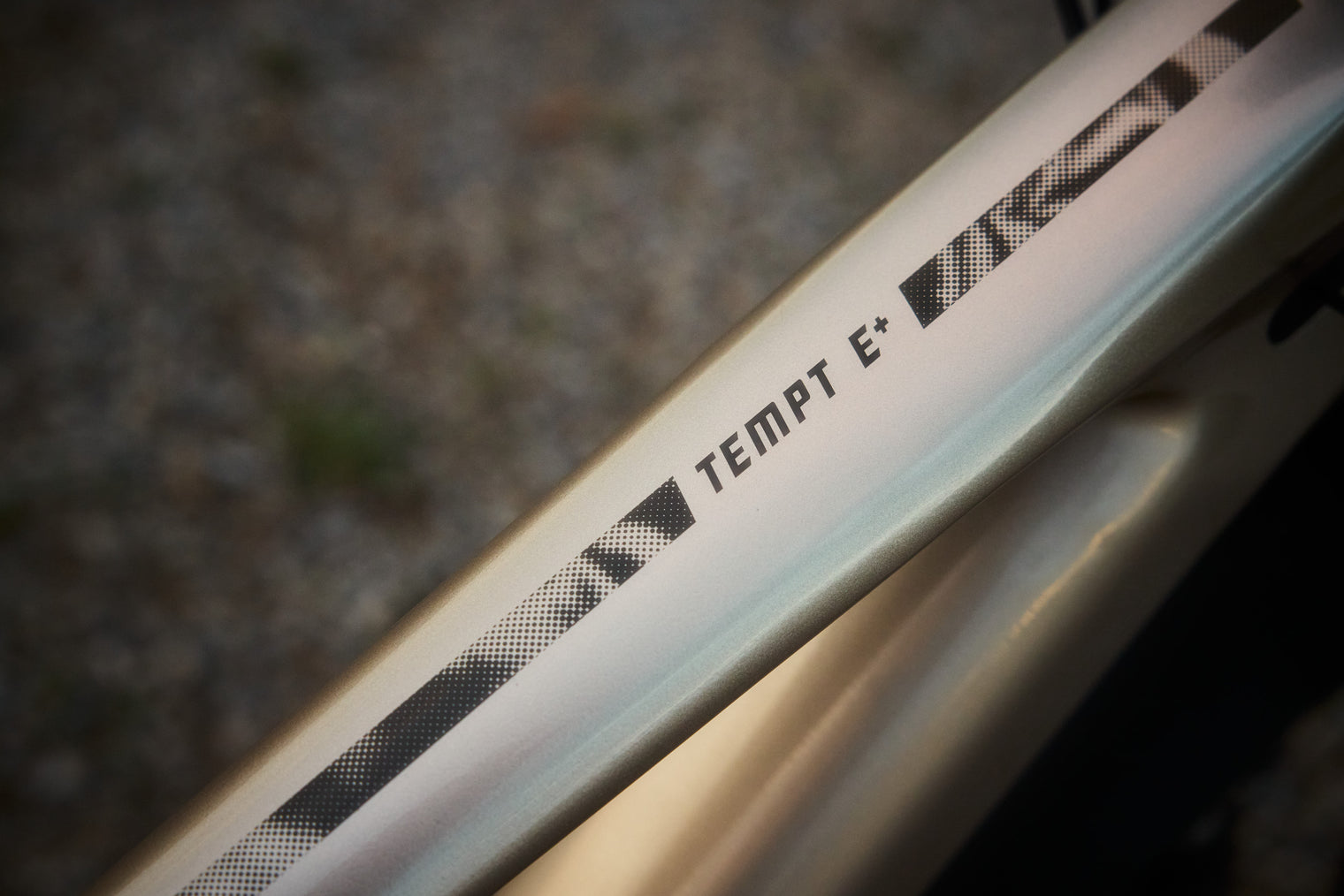 Liv Tempt E+ EX MY26