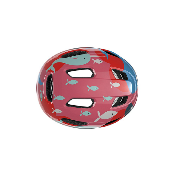 Lazer Toddler Helmet- Pnut 2.0 KC Ocean Life Unisize