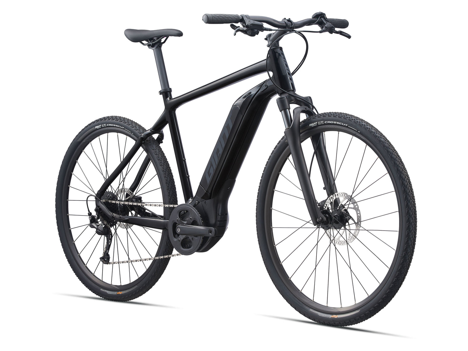 Giant Roam E+ GTS