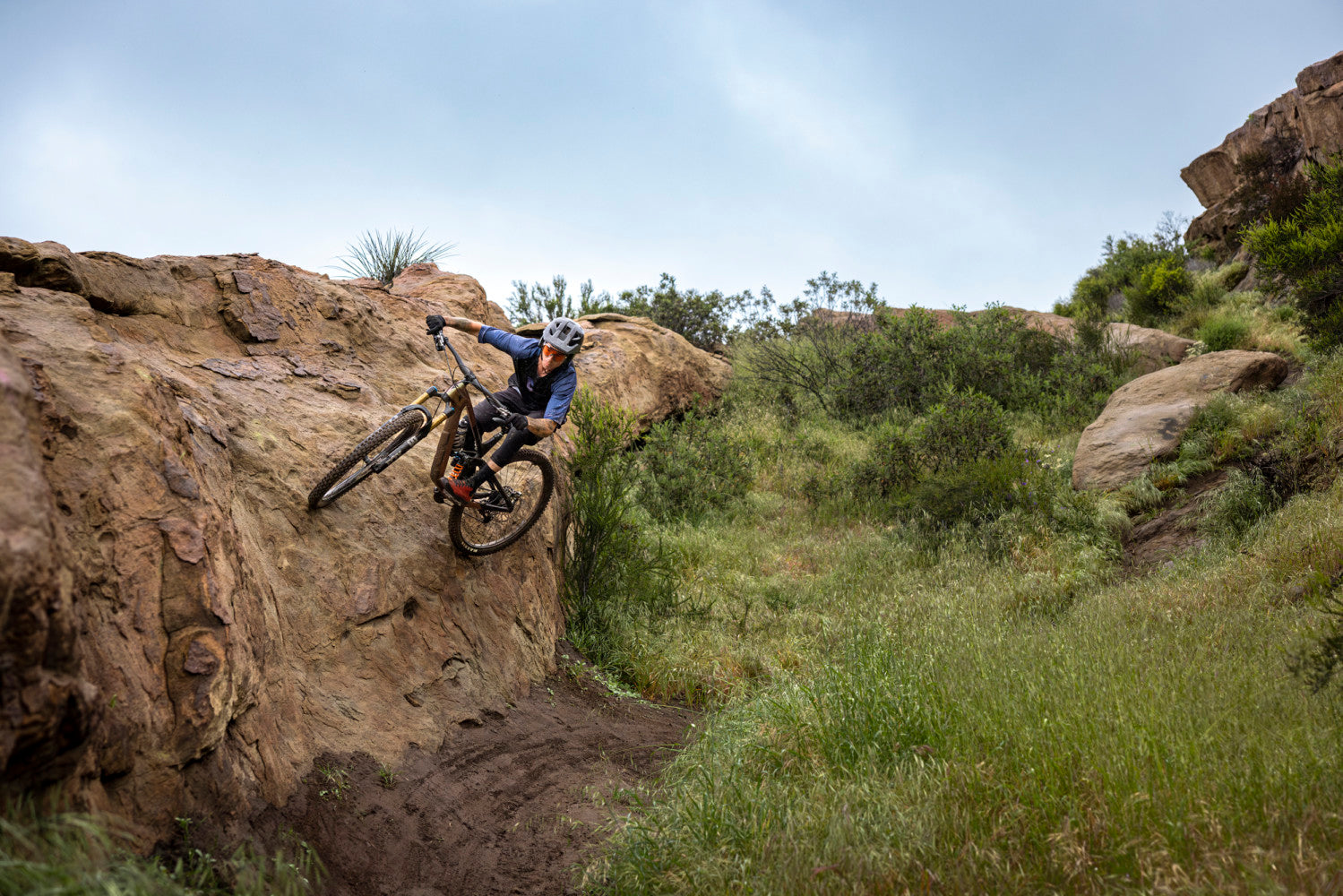 Giant Reign Advanced Pro 29 0