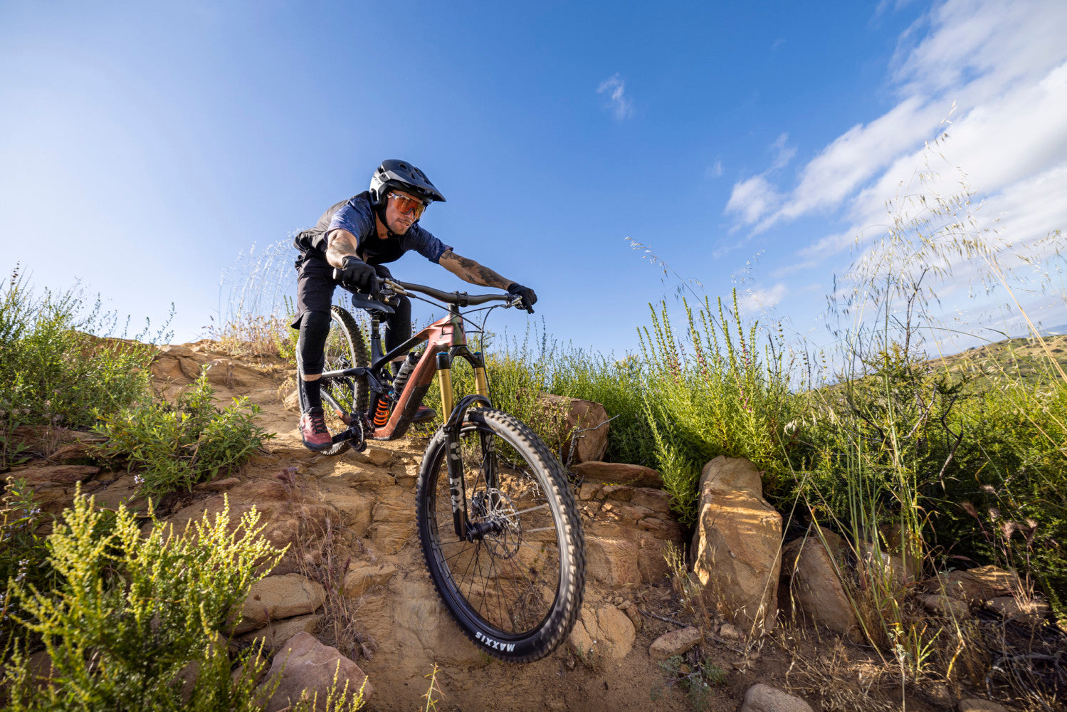 Giant Reign Advanced Pro 29 0