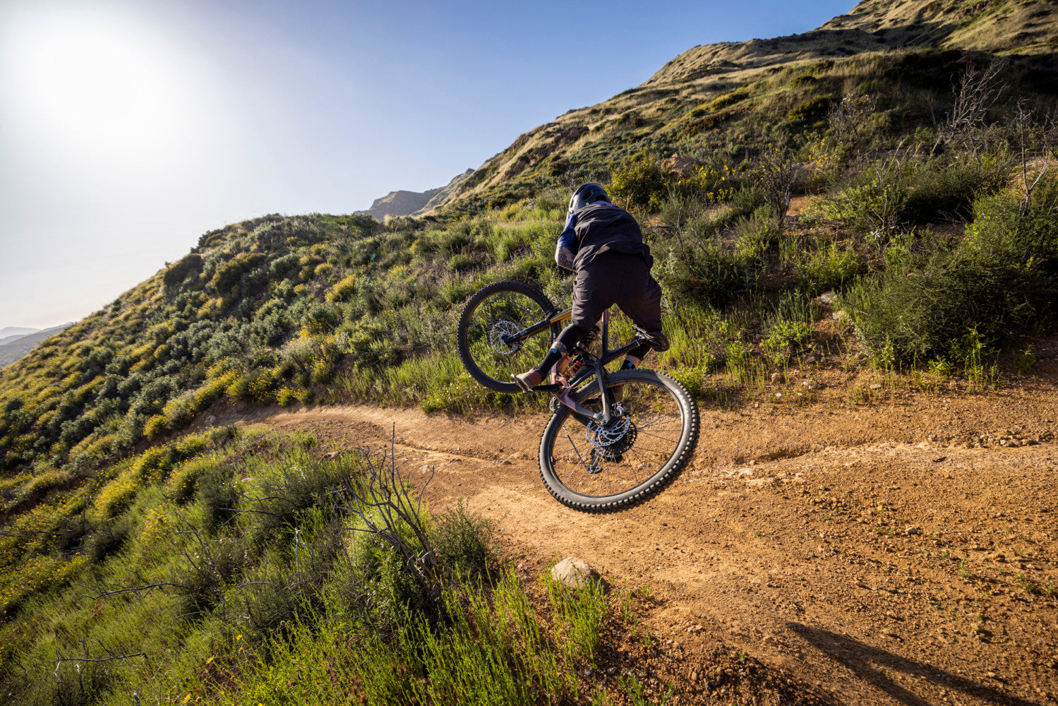 Giant Reign Advanced Pro 29 0