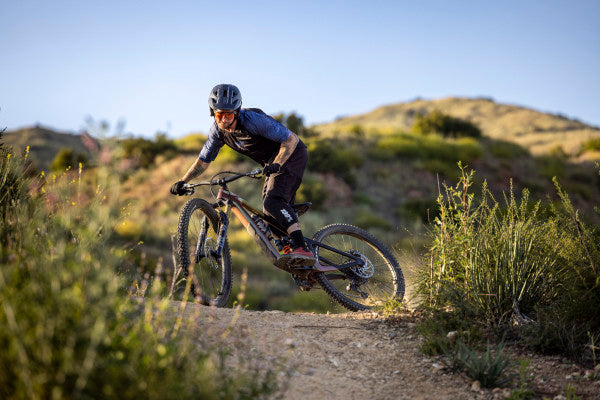 Giant Reign Advanced Pro 29 0