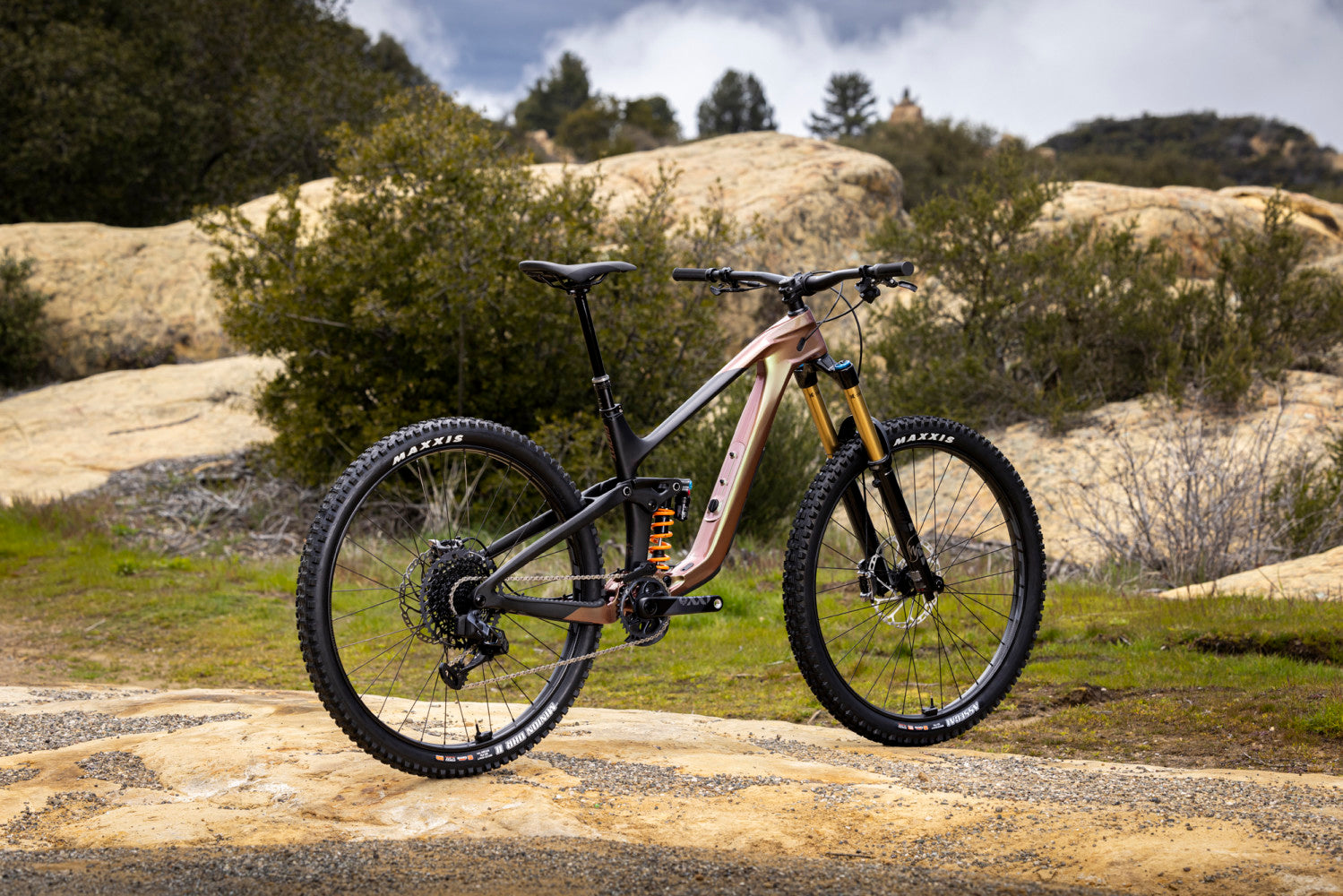 Giant Reign Advanced Pro 29 0