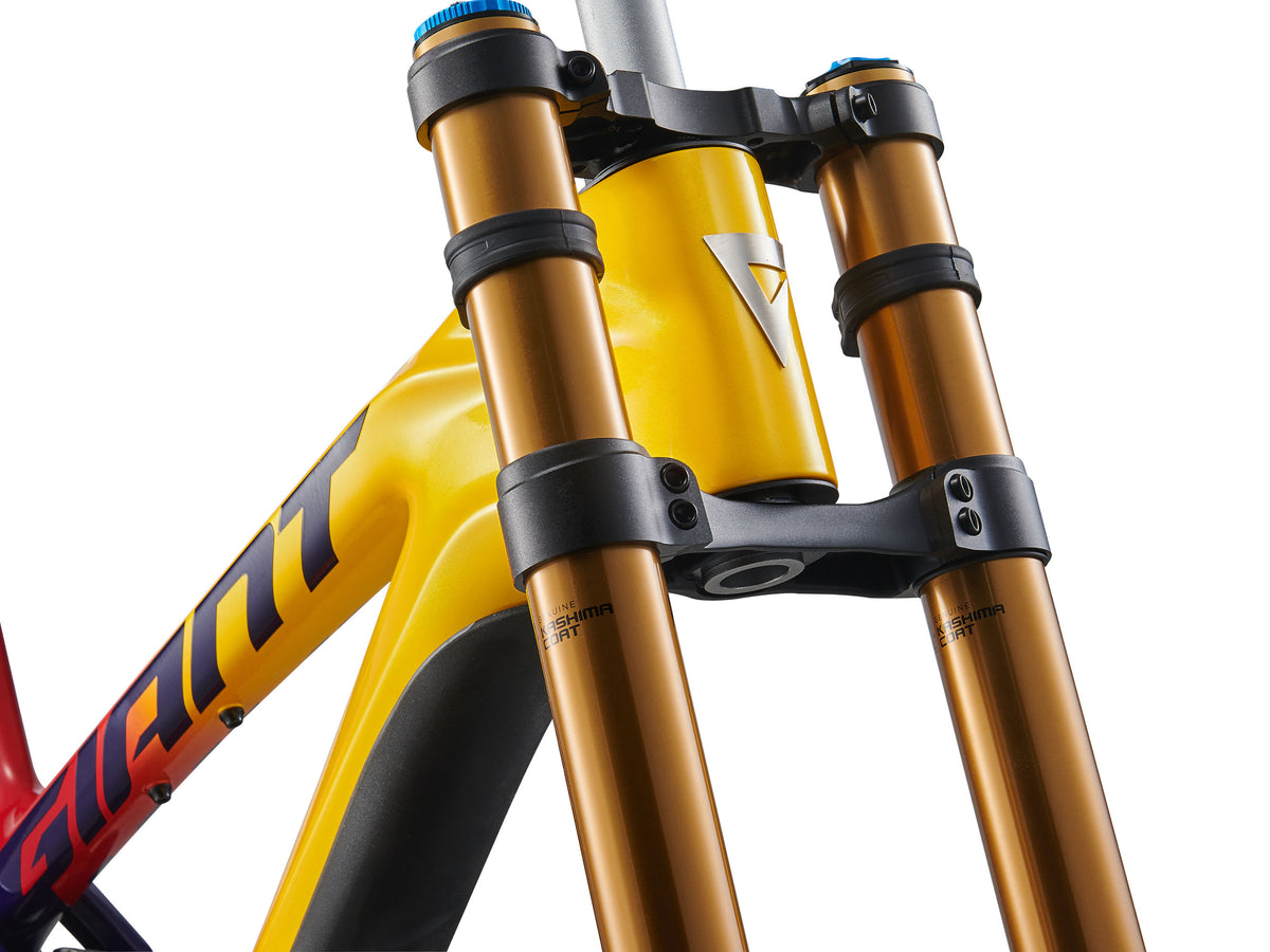 Giant 2024 Glory Advanced Pro FR