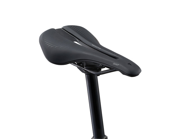 Giant 2025 Anthem Advanced 29 1