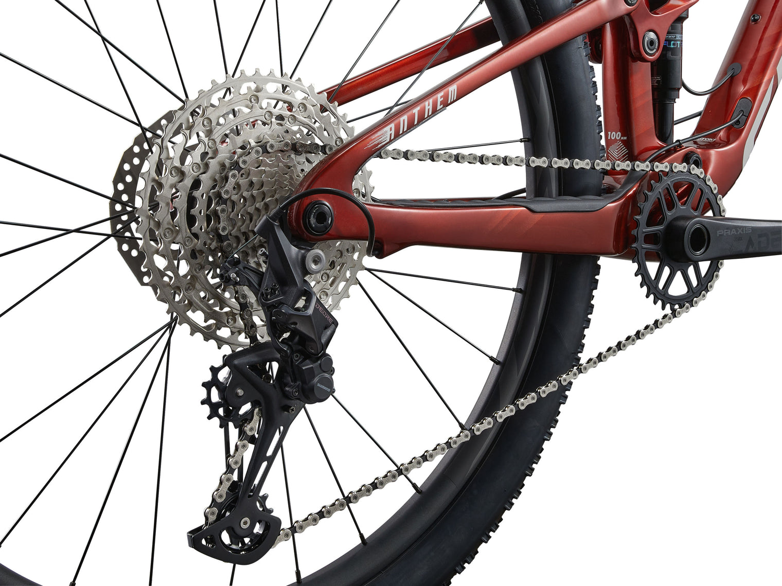 Giant 2025 Anthem Advanced 29 4