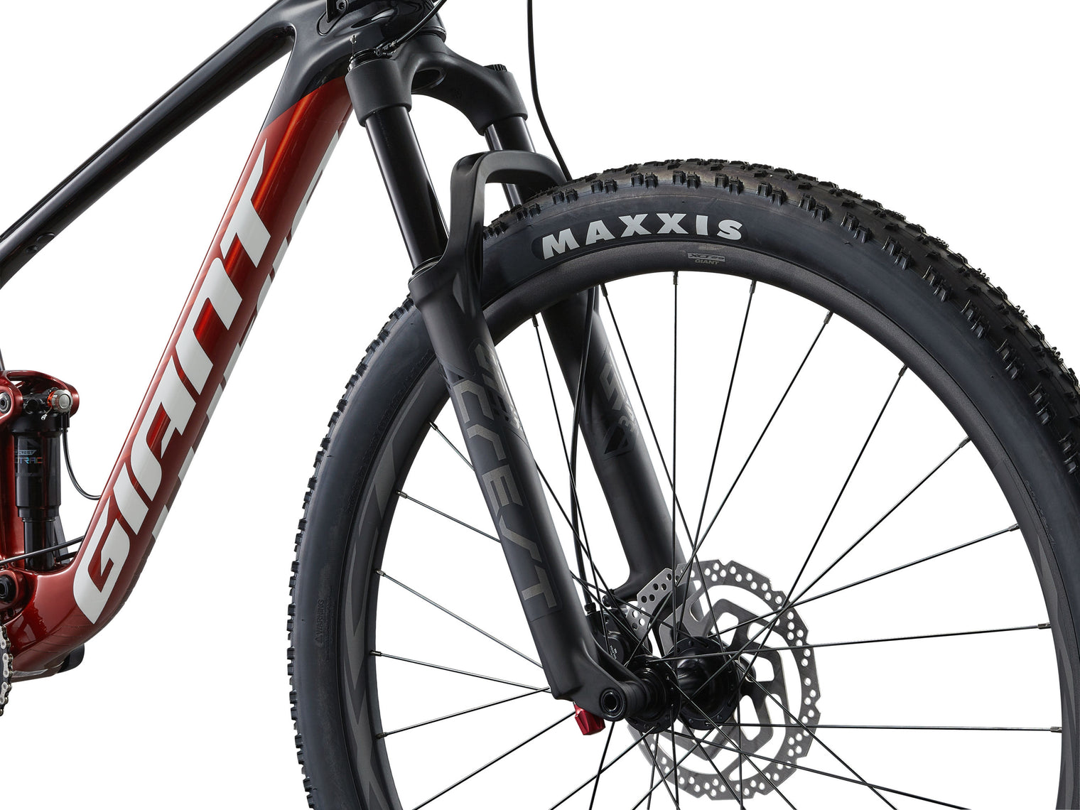 Giant 2025 Anthem Advanced 29 4