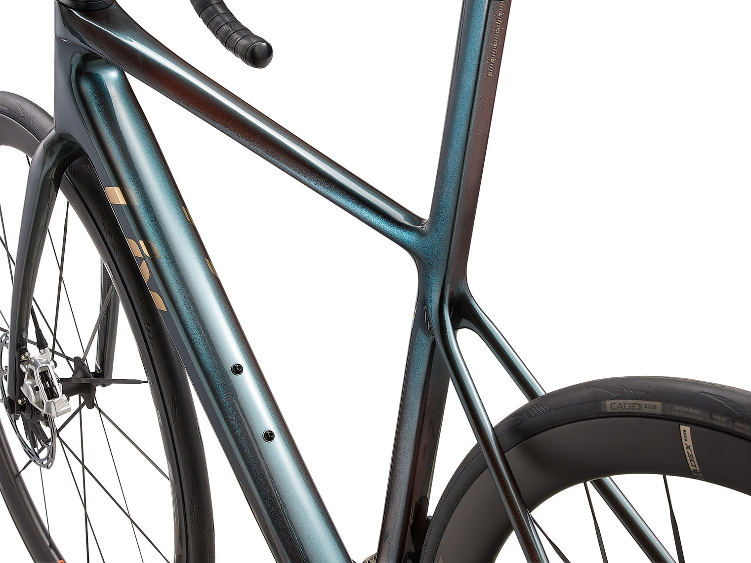 Liv 2025 Langma Advanced SL 0