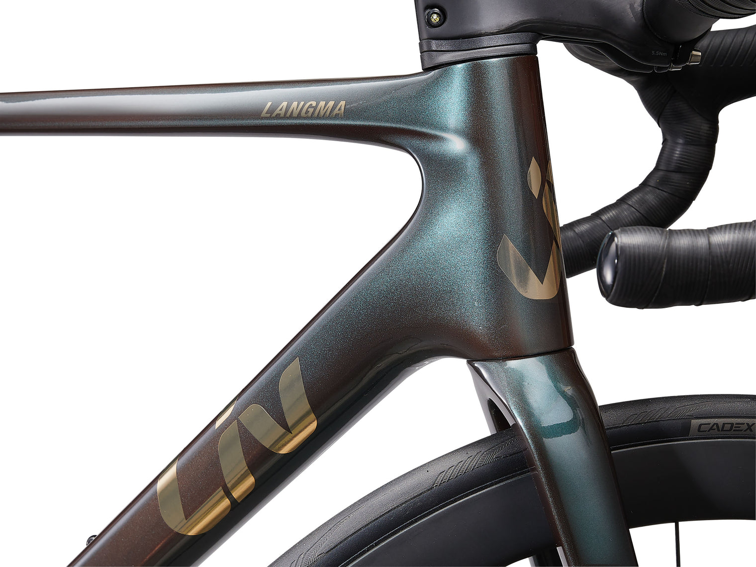 Liv 2025 Langma Advanced SL 0