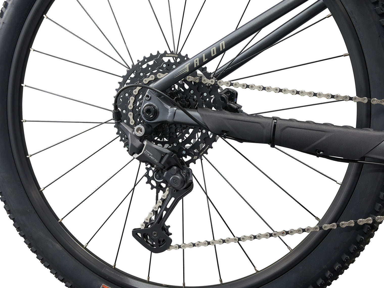 Giant Talon 29 1 2025