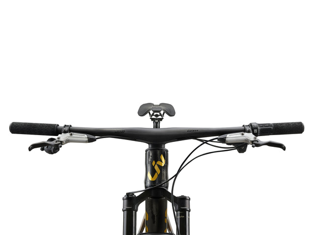 Liv 2026 Pique Advanced SL 0