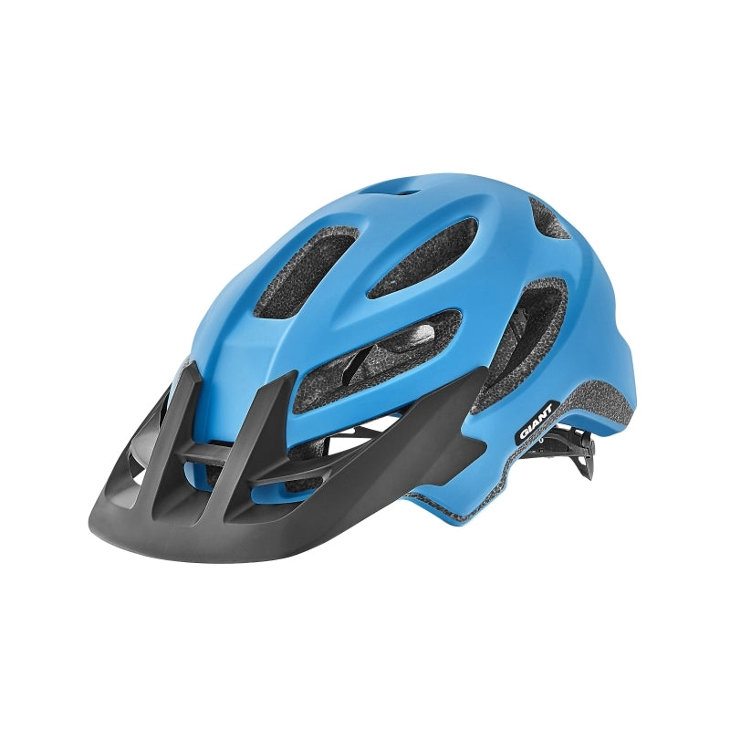 Giant Roost Helmet