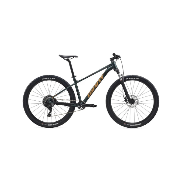 Giant Talon 29 2 2025