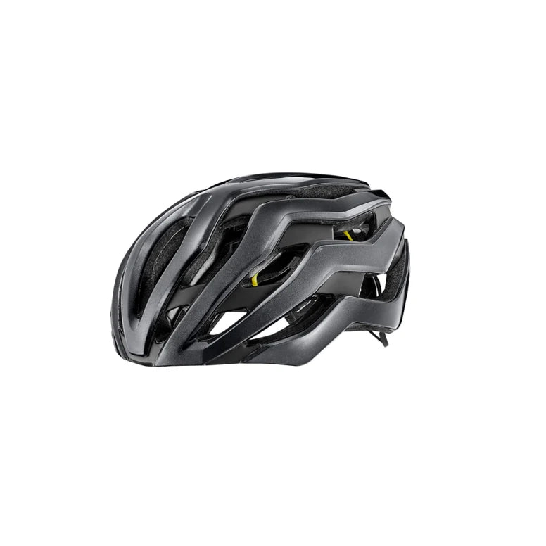 Mips Helmet Giant Rev Pro