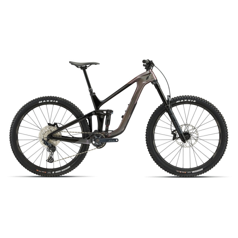 Giant Reign Advanced Pro 2