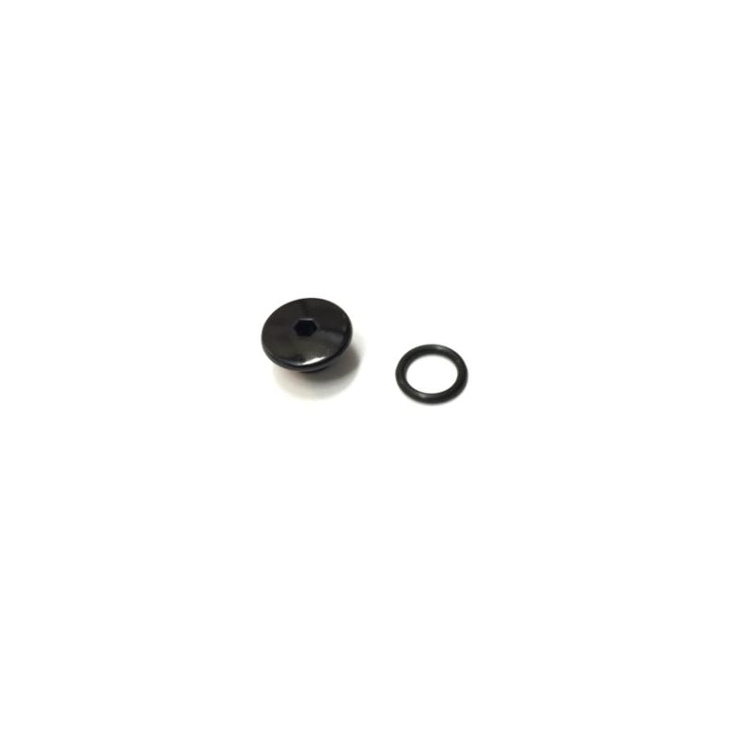 Shimano ST-R9120 Bleed Screw & O-ring