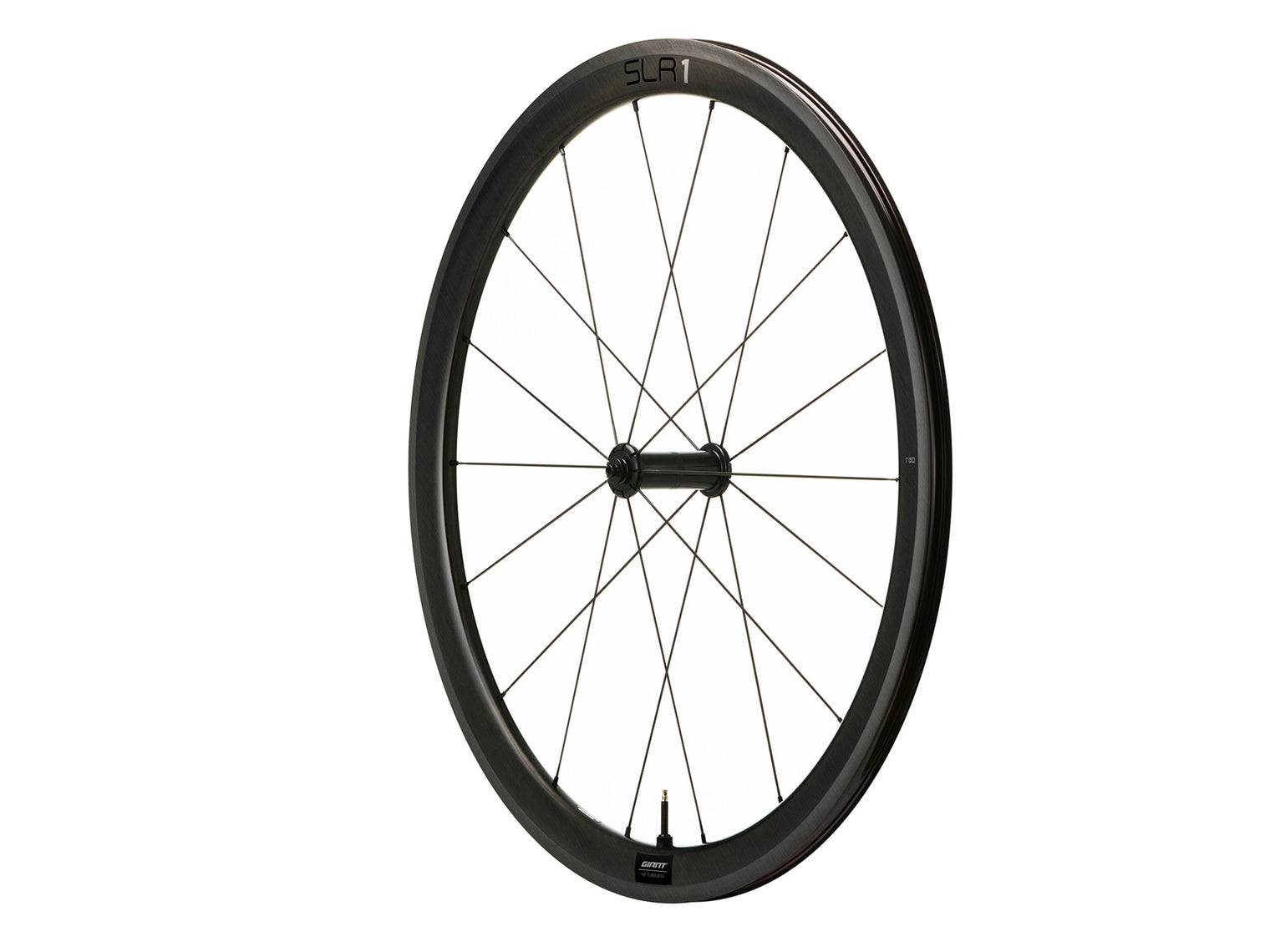 Giant SLR 1 42 Front Wheel - Rim Brake/hookless