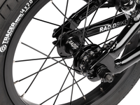 Radio 14 Inch Dice Bike
