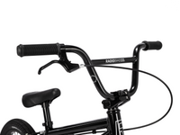 Radio 14 Inch Dice Bike