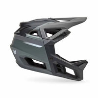 Fox Proframe Rizer