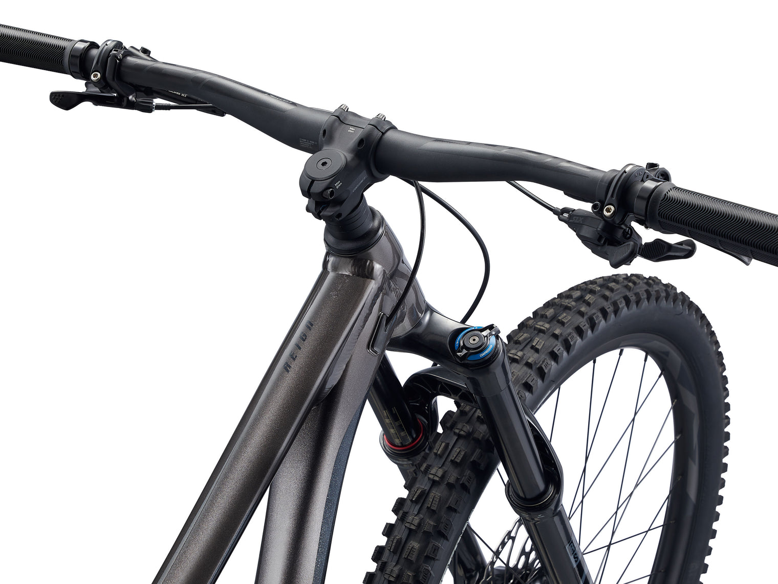 Giant Reign 29 2022