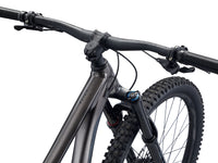 Giant Reign 29 2022