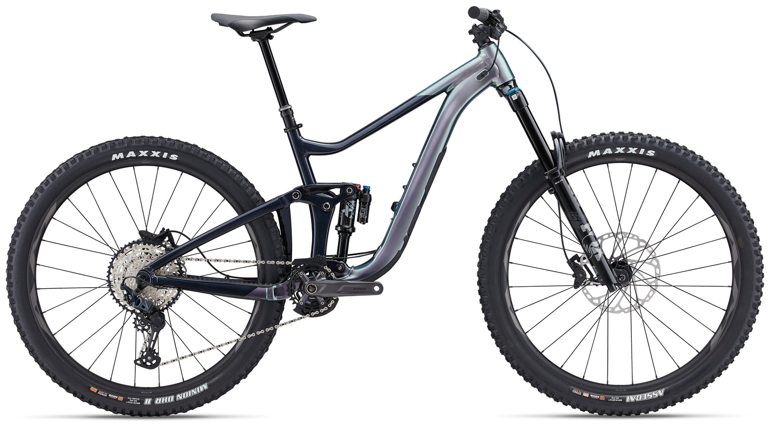 Giant Reign 1 2023