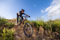 Giant Reign Advanced Pro 29 0