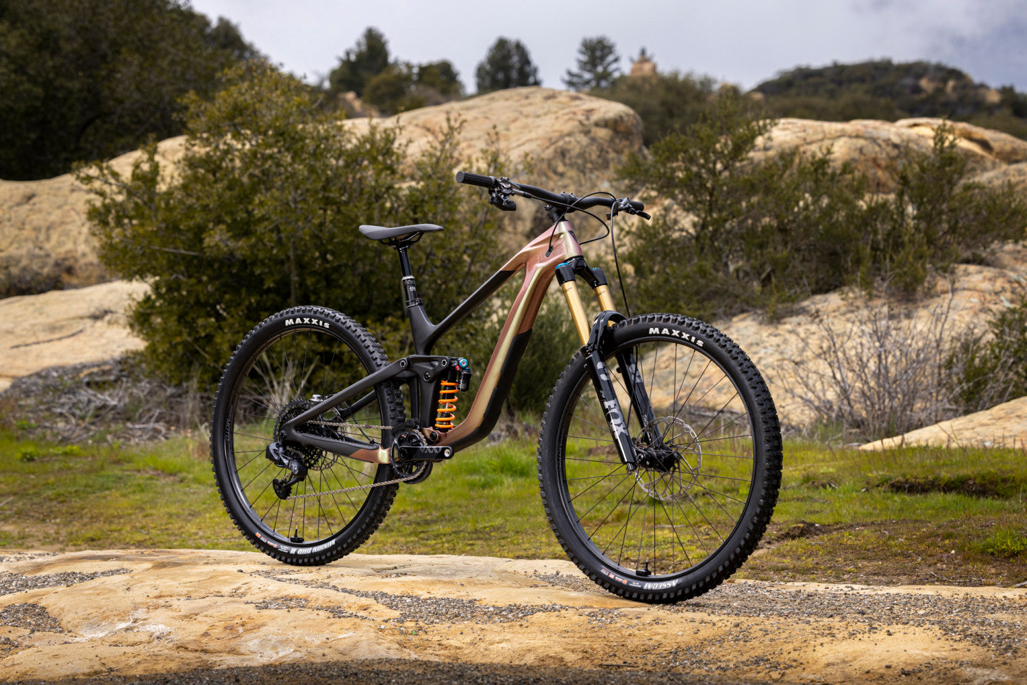 Giant Reign Advanced Pro 29 0