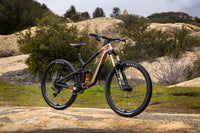 Giant Reign Advanced Pro 29 0