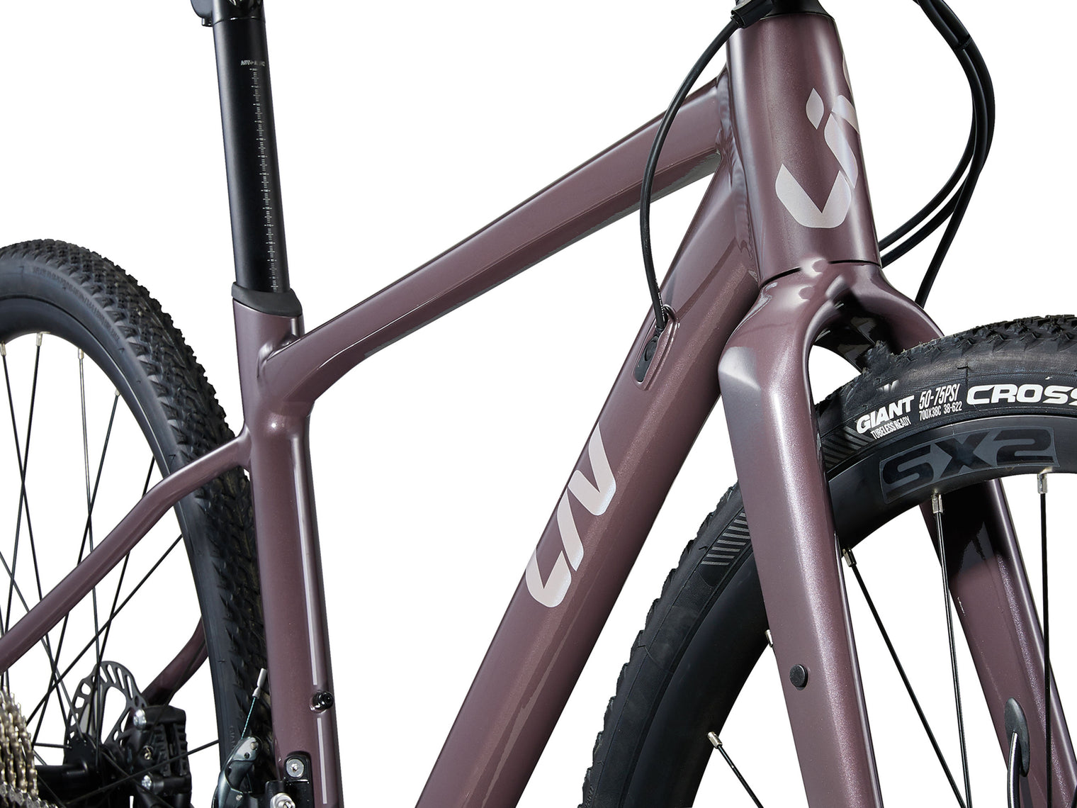 Liv Devote 1 2024