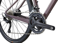 Liv Devote 1 2024