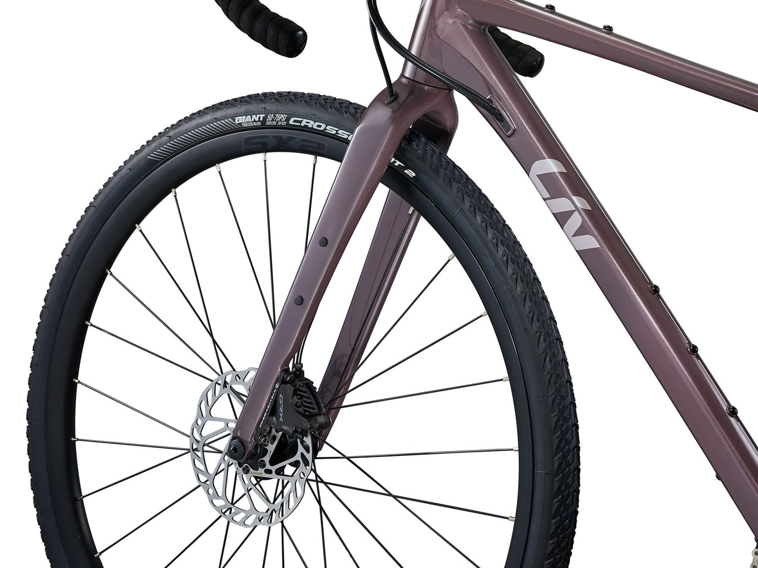 Liv Devote 1 2024