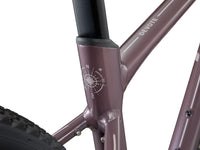 Liv Devote 1 2024