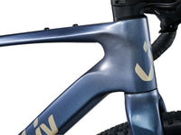 Liv Devote Advanced 1 2025