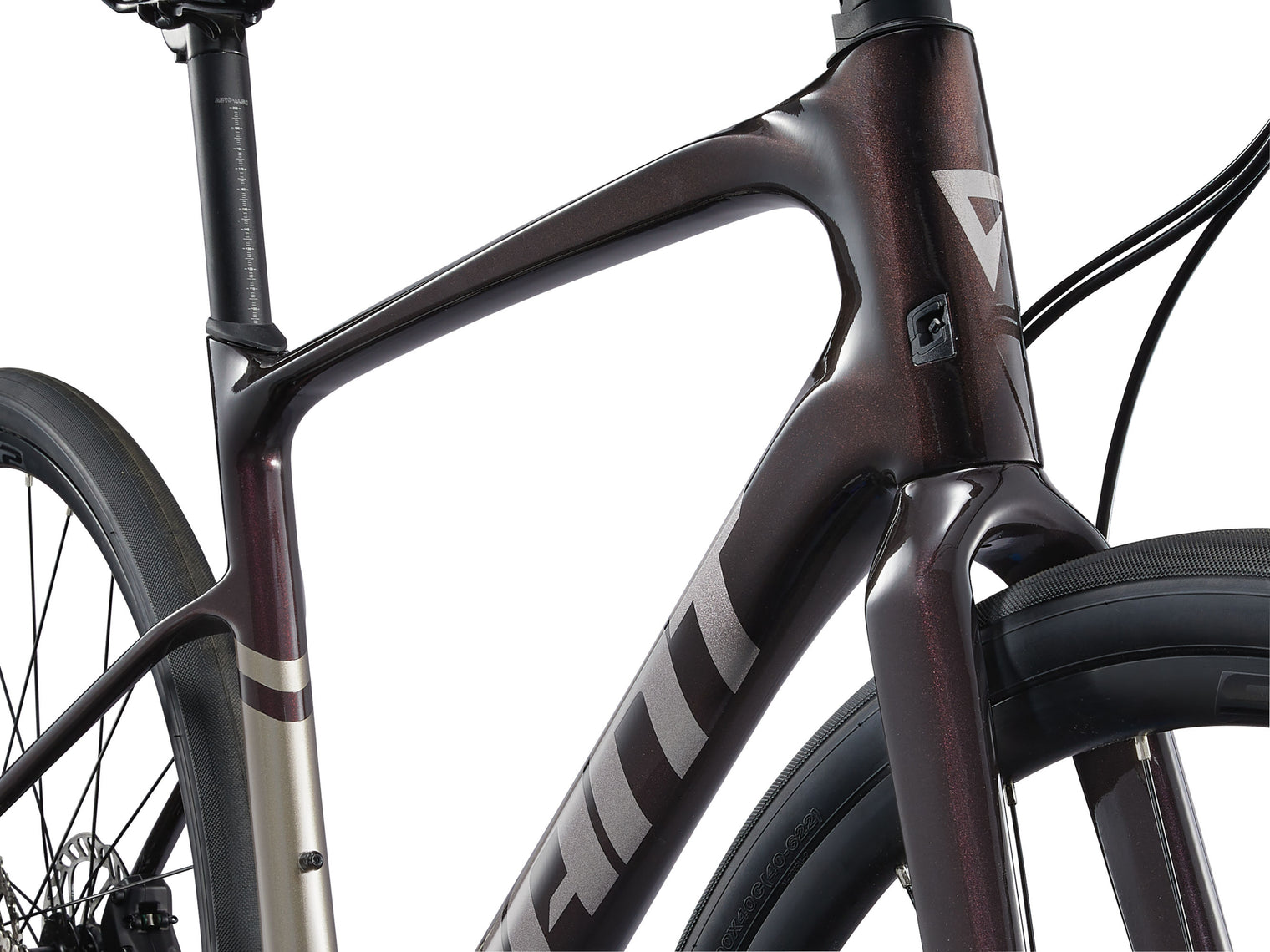 Giant 2025 FastRoad AR Advanced 2 (Pre Order)