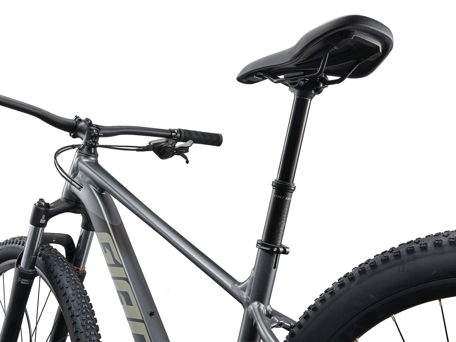 Giant Talon 29 1 2025