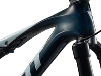 Giant 2026 Anthem Advanced SL 2