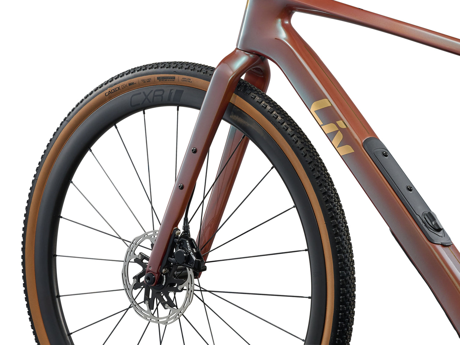 Liv 2026 Devote Advanced Pro