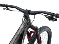 Giant 2026 Reign SE