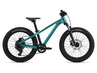 Giant 2026 STP 20 FS