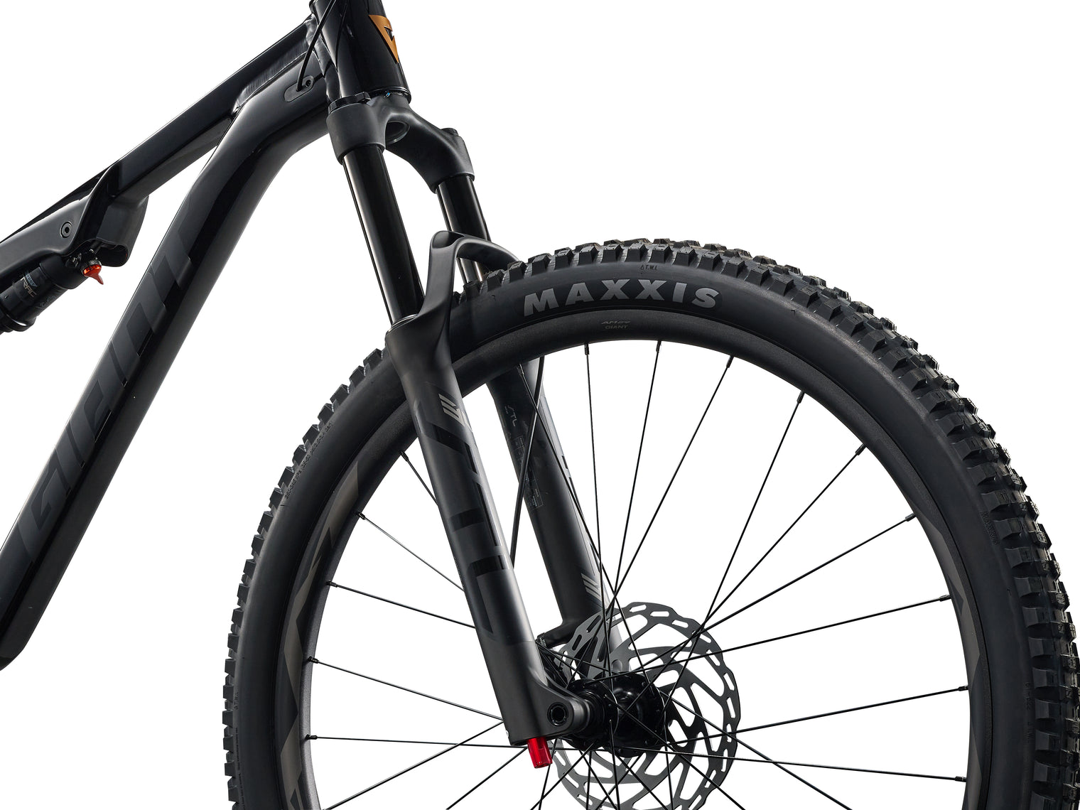Giant Stance 29 2026