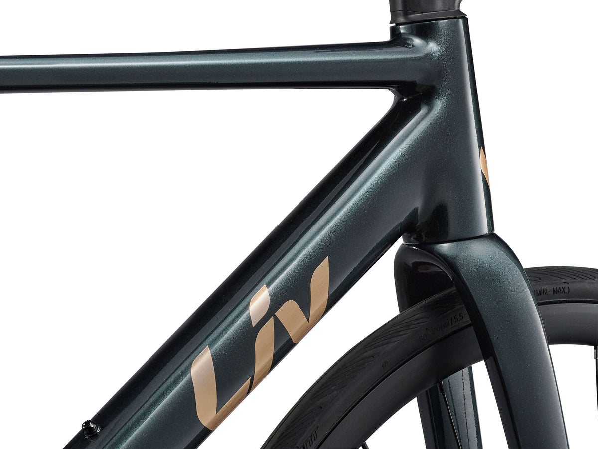 Liv 2027 Beliv SL 0