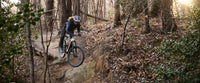 Giant 2027 Stance E+ 1
