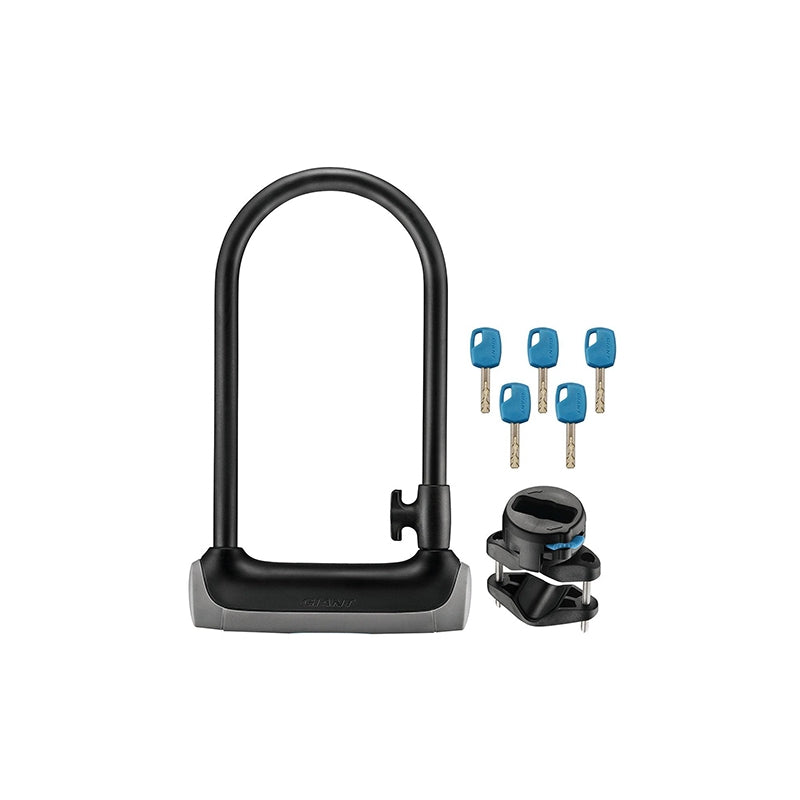 Giant Surelock Protector 2