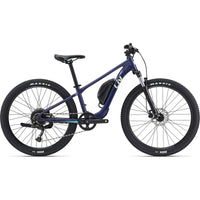Liv Tempt E + 26 2023